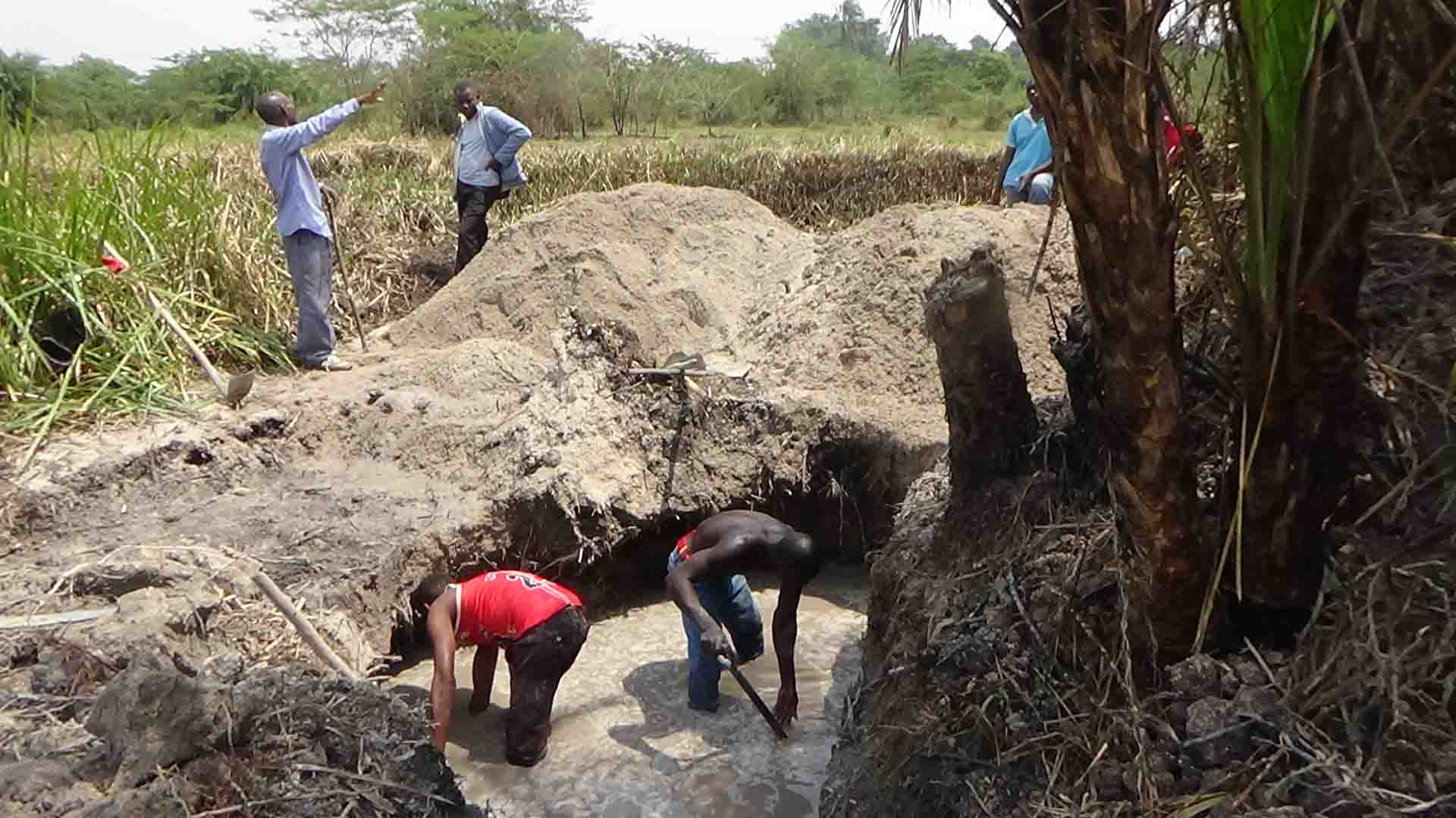 How Monitor story saved swamps from illegal miners in Kakumiro