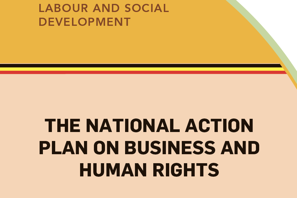 The National Action Plan on Business and Human Rights